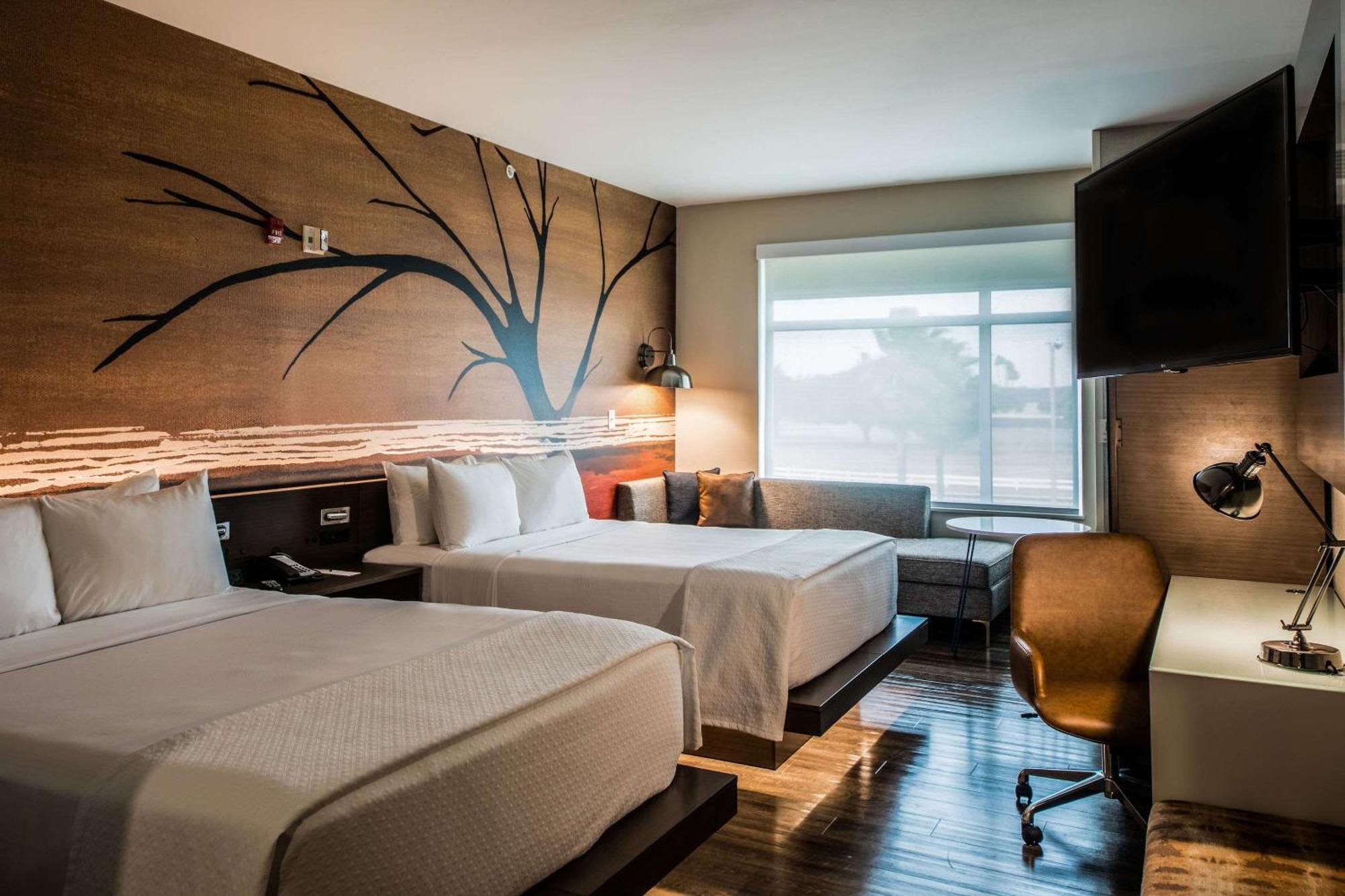 Cambria Hotel Mcallen Convention Center Luaran gambar